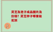 灵芝及孢子成品图片及价格？灵芝种子哪里能买到