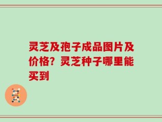 灵芝及孢子成品图片及价格？灵芝种子哪里能买到