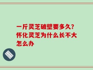一斤灵芝破壁要多久？怀化灵芝为什么长不大怎么办