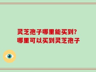 灵芝孢子哪里能买到？哪里可以买到灵芝孢子