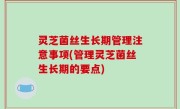 灵芝菌丝生长期管理注意事项(管理灵芝菌丝生长期的要点)
