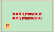 金寨灵芝种植培训(金寨灵芝种植技能培训)
