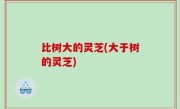 比树大的灵芝(大于树的灵芝)