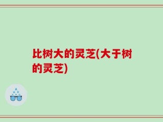 比树大的灵芝(大于树的灵芝)
