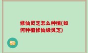 修仙灵芝怎么种植(如何种植修仙级灵芝)