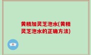 黄精加灵芝泡水(黄精灵芝泡水的正确方法)
