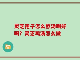 灵芝孢子怎么熬汤喝好喝？灵芝鸡汤怎么做