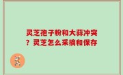 灵芝孢子粉和大蒜冲突？灵芝怎么采摘和保存