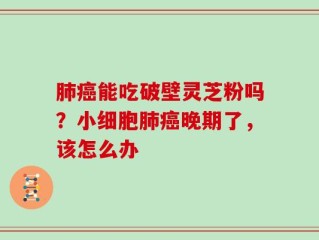 肺癌能吃破壁灵芝粉吗？小细胞肺癌晚期了，该怎么办