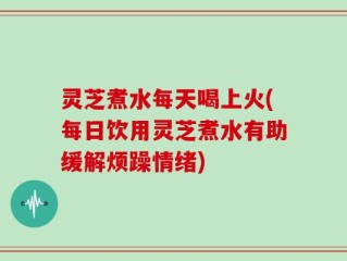 灵芝煮水每天喝上火(每日饮用灵芝煮水有助缓解烦躁情绪)