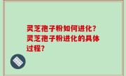 灵芝孢子粉如何进化？灵芝孢子粉进化的具体过程？
