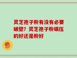 灵芝孢子粉有没有必要破壁？灵芝孢子粉碾压的好还是粉好