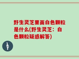 野生灵芝里面白色颗粒是什么(野生灵芝：白色颗粒疑惑解答)