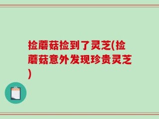 捡蘑菇捡到了灵芝(捡蘑菇意外发现珍贵灵芝)