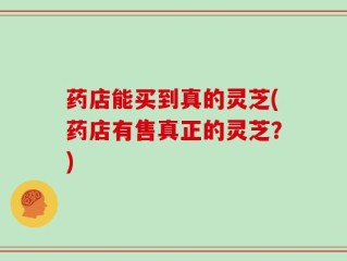 药店能买到真的灵芝(药店有售真正的灵芝？)