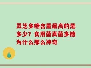 灵芝多糖含量最高的是多少？食用菌真菌多糖为什么那么神奇