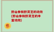 野山参和野灵芝的功效(野山参和野灵芝的丰富功效)