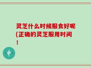 灵芝什么时候服食好呢(正确的灵芝服用时间！
