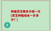 种植灵芝要多少钱一斤(灵芝种植成本一斤多少？)
