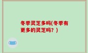 冬季灵芝多吗(冬季有更多的灵芝吗？)