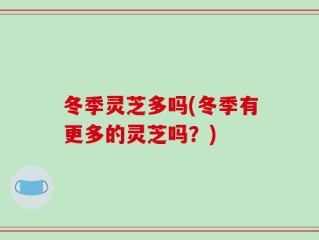冬季灵芝多吗(冬季有更多的灵芝吗？)