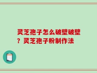 灵芝孢子怎么破壁破壁？灵芝孢子粉制作法
