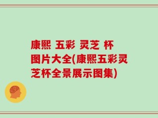 康熙 五彩 灵芝 杯图片大全(康熙五彩灵芝杯全景展示图集)