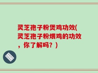 灵芝孢子粉煲鸡功效(灵芝孢子粉煨鸡的功效，你了解吗？)