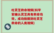 吃灵芝救命视频(科学家确认灵芝具有救命功效，成功拍摄到吃灵芝救命的人类视频)