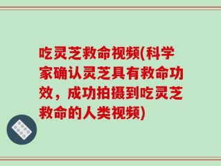 吃灵芝救命视频(科学家确认灵芝具有救命功效，成功拍摄到吃灵芝救命的人类视频)