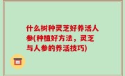 什么树种灵芝好养活人参(种植好方法，灵芝与人参的养活技巧)