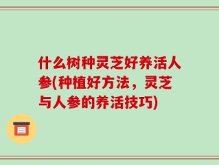 什么树种灵芝好养活人参(种植好方法，灵芝与人参的养活技巧)