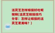 活灵芝怎样嫁接好吃呢视频(活灵芝嫁接技巧分享：怎样让嫁接的活灵芝更美味？)
