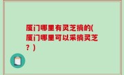 厦门哪里有灵芝摘的(厦门哪里可以采摘灵芝？)