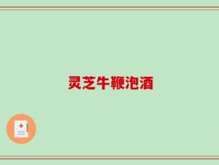 灵芝牛鞭泡酒