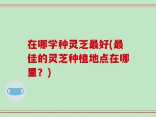 在哪学种灵芝最好(最佳的灵芝种植地点在哪里？)