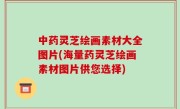 中药灵芝绘画素材大全图片(海量药灵芝绘画素材图片供您选择)