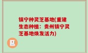 镇宁种灵芝基地(重建生态种植：贵州镇宁灵芝基地焕发活力)
