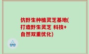 仿野生种植灵芝基地(打造野生灵芝 科技+自然双重优化)