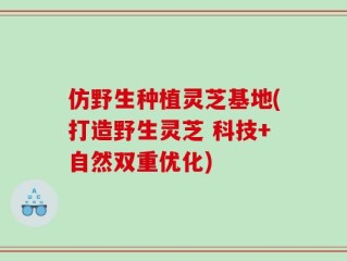 仿野生种植灵芝基地(打造野生灵芝 科技+自然双重优化)