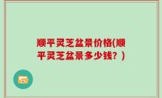 顺平灵芝盆景价格(顺平灵芝盆景多少钱？)