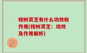 桉树灵芝有什么功效和作用(桉树灵芝：功效及作用解析)