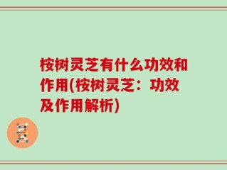 桉树灵芝有什么功效和作用(桉树灵芝：功效及作用解析)