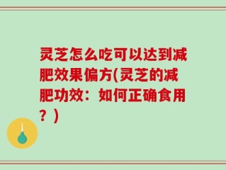 灵芝怎么吃可以达到减肥效果偏方(灵芝的减肥功效：如何正确食用？)
