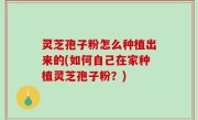 灵芝孢子粉怎么种植出来的(如何自己在家种植灵芝孢子粉？)