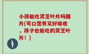 小孩能吃灵芝叶片吗图片(可口营养又好吸收，孩子也能吃的灵芝叶片！)