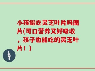 小孩能吃灵芝叶片吗图片(可口营养又好吸收，孩子也能吃的灵芝叶片！)
