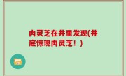 肉灵芝在井里发现(井底惊现肉灵芝！)