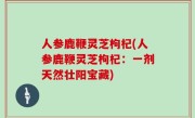 人参鹿鞭灵芝枸杞(人参鹿鞭灵芝枸杞：一剂天然壮阳宝藏)