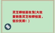 灵芝榔榆苗批发(大批量销售灵芝和榔榆苗，低价优质！)